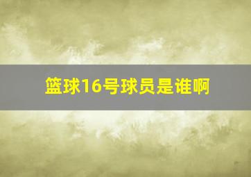 篮球16号球员是谁啊