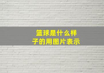 篮球是什么样子的用图片表示