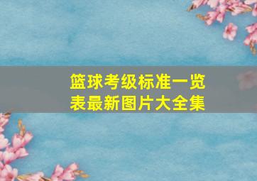 篮球考级标准一览表最新图片大全集