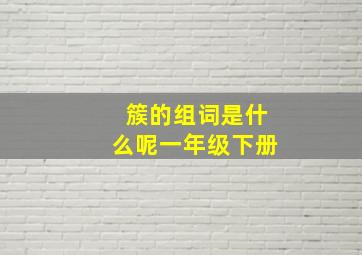 簇的组词是什么呢一年级下册