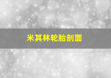 米其林轮胎剖面