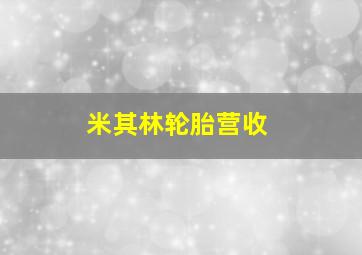 米其林轮胎营收