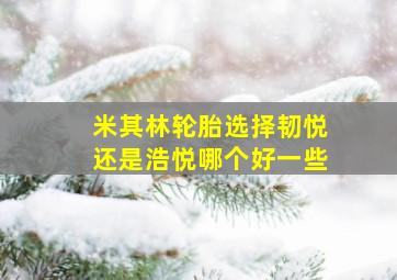 米其林轮胎选择韧悦还是浩悦哪个好一些