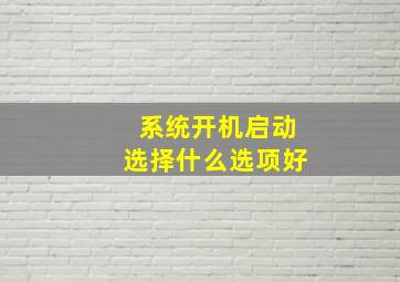 系统开机启动选择什么选项好