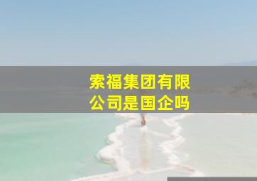 索福集团有限公司是国企吗