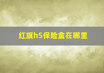 红旗h5保险盒在哪里