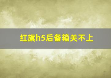 红旗h5后备箱关不上