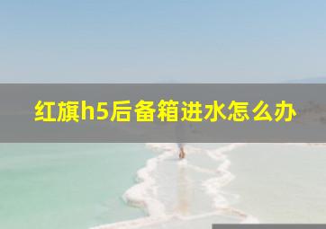 红旗h5后备箱进水怎么办