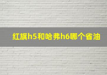 红旗h5和哈弗h6哪个省油