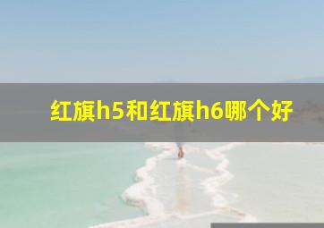 红旗h5和红旗h6哪个好