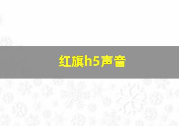 红旗h5声音