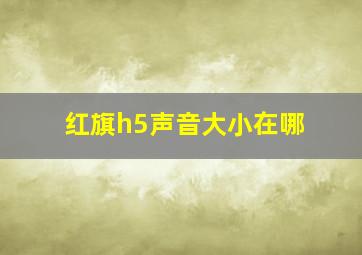 红旗h5声音大小在哪