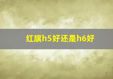 红旗h5好还是h6好