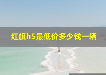 红旗h5最低价多少钱一辆