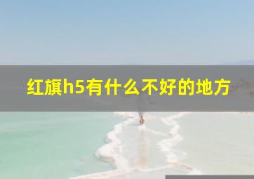 红旗h5有什么不好的地方