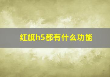 红旗h5都有什么功能