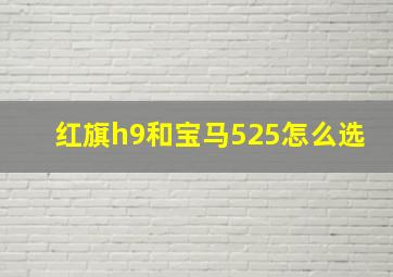 红旗h9和宝马525怎么选