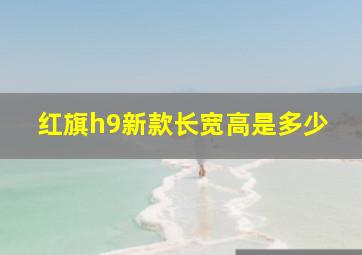 红旗h9新款长宽高是多少