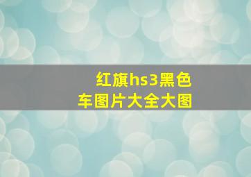 红旗hs3黑色车图片大全大图