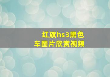 红旗hs3黑色车图片欣赏视频