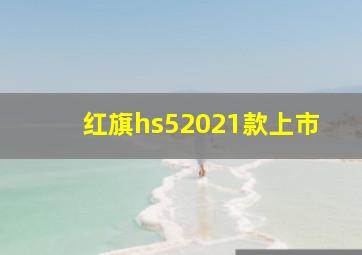 红旗hs52021款上市