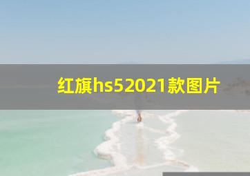 红旗hs52021款图片