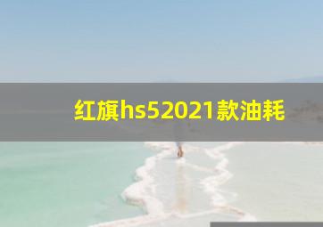 红旗hs52021款油耗