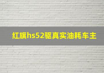 红旗hs52驱真实油耗车主