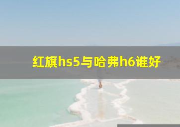 红旗hs5与哈弗h6谁好