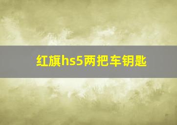 红旗hs5两把车钥匙