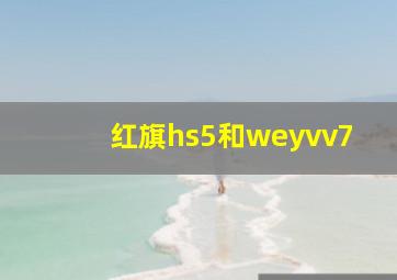 红旗hs5和weyvv7