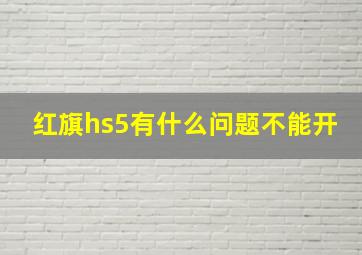 红旗hs5有什么问题不能开