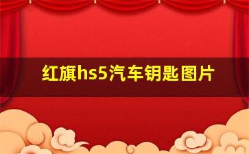 红旗hs5汽车钥匙图片