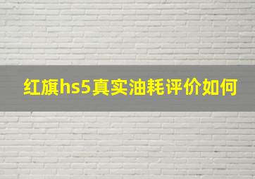 红旗hs5真实油耗评价如何