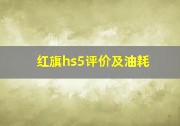 红旗hs5评价及油耗