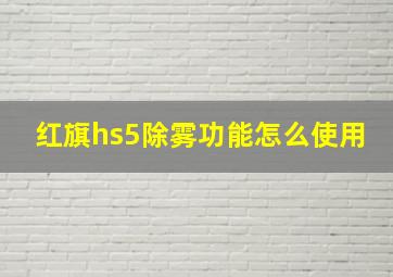 红旗hs5除雾功能怎么使用