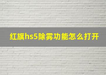 红旗hs5除雾功能怎么打开