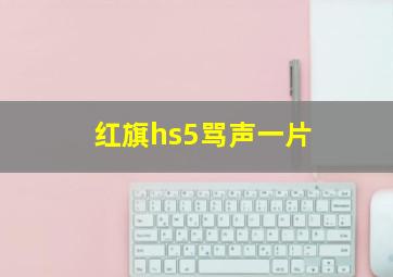 红旗hs5骂声一片