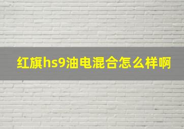 红旗hs9油电混合怎么样啊