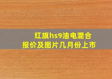 红旗hs9油电混合报价及图片几月份上市