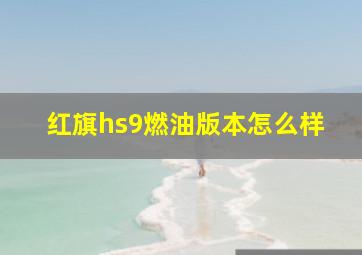 红旗hs9燃油版本怎么样