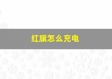 红旗怎么充电