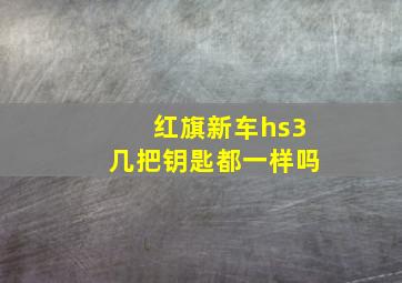 红旗新车hs3几把钥匙都一样吗