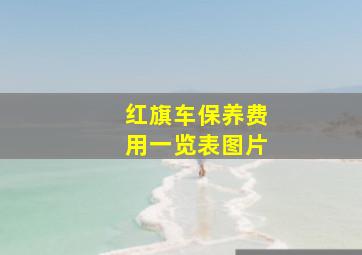 红旗车保养费用一览表图片