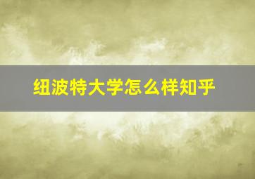 纽波特大学怎么样知乎