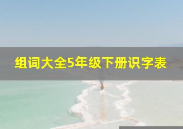 组词大全5年级下册识字表