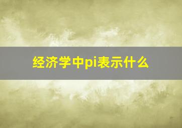 经济学中pi表示什么