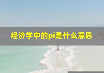 经济学中的pi是什么意思