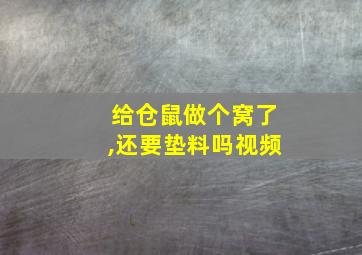 给仓鼠做个窝了,还要垫料吗视频