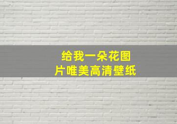 给我一朵花图片唯美高清壁纸